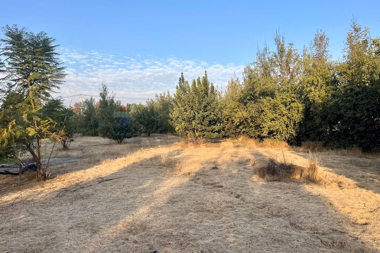 Venta parcela-lampa