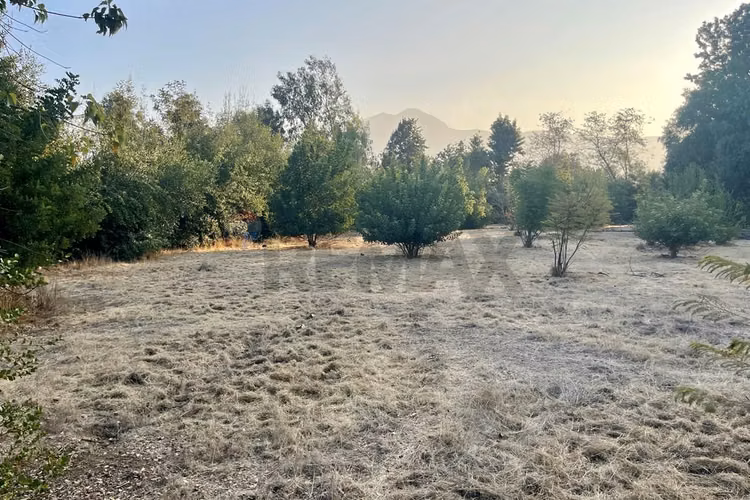 Venta parcela-lampa
