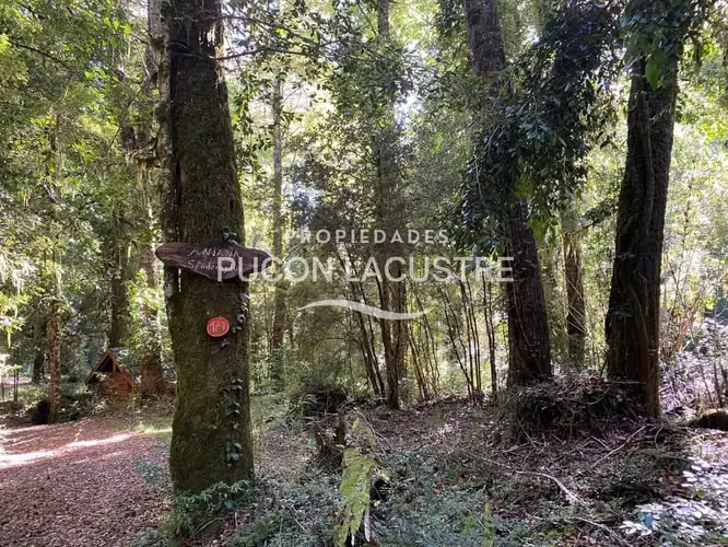 EN VENTA CASA EN PARCELA RESERVA HUILO HUILO  (169287)