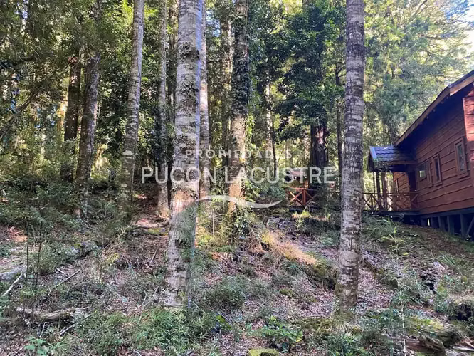 EN VENTA CASA EN PARCELA RESERVA HUILO HUILO  (169287)