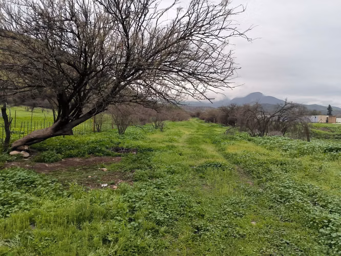 Terreno uso Comercial
