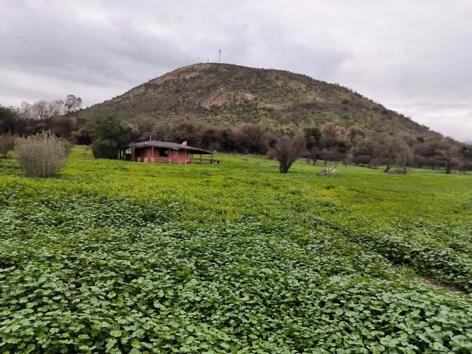 Terreno uso Comercial