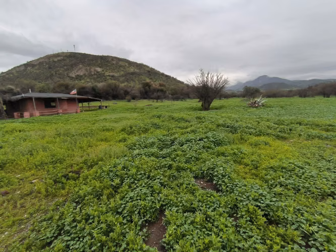 Terreno uso Comercial