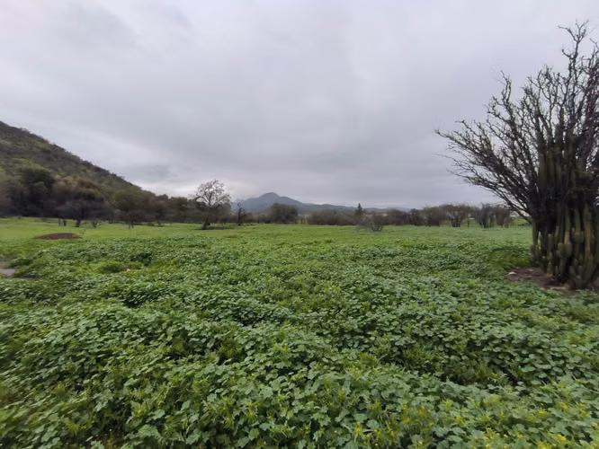 Terreno uso Comercial