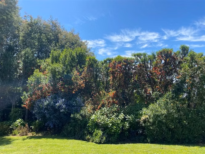 Casa en venta de 7 dorm. en Puerto Varas