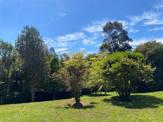 Parcela en venta en Puerto Varas