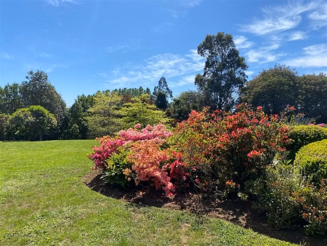 Parcela en venta en Puerto Varas - Imagen 30