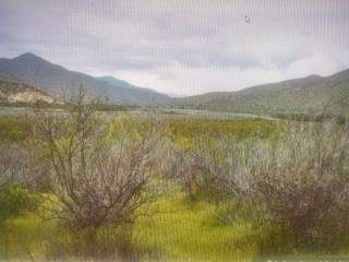 Agrícola en venta en Curacaví - Imagen 2