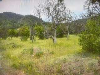 Agrícola en venta en Curacaví - Imagen 8