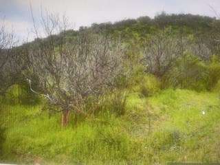 Agrícola en venta en Curacaví - Imagen 4