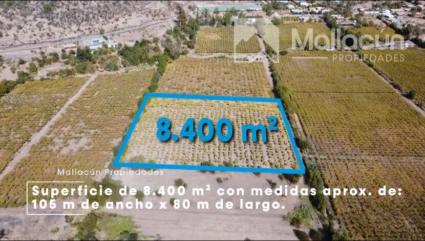 Parcela en PRODUCCIÓN Coirón 42D