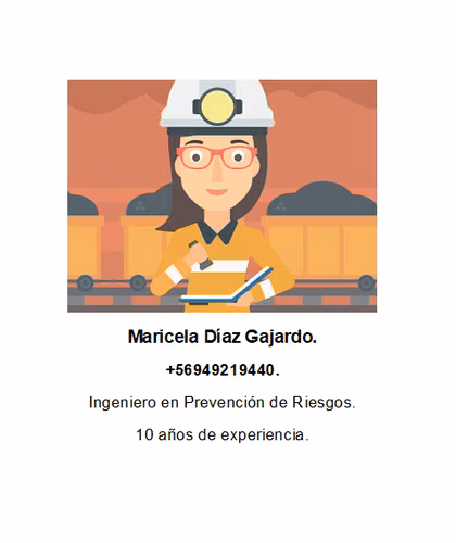 Ingeniero en Prevención de Riesgos (asesor)