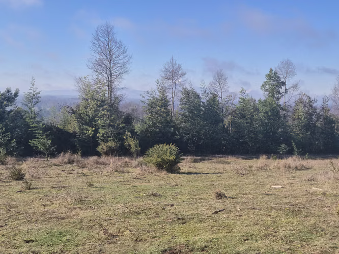 Última parcela Loncoche vista Volcán, a 2 km de Ruta 5 Sur