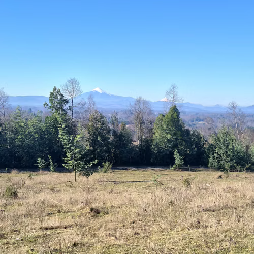 Última parcela Loncoche vista Volcán, a 2 km de Ruta 5 Sur