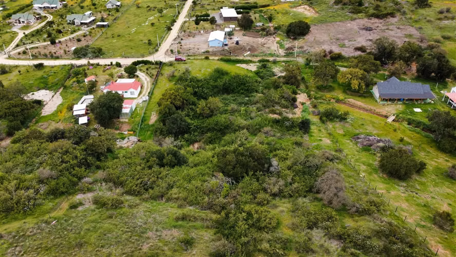 PARCELA Litueche
