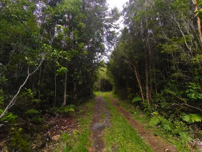 Remate 1 Há acceso rio, Lago Chapo, P. Montt (169510)