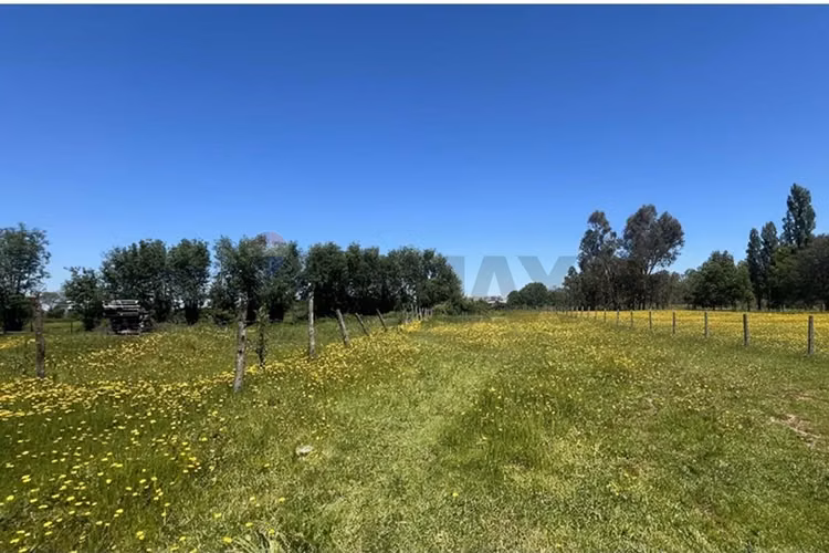 Gran parcela en longavi