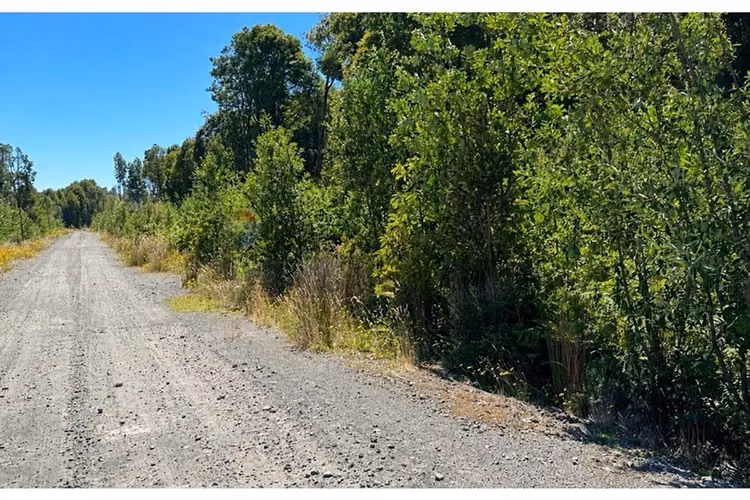 Terreno en condominio en  puerto varas 5.000 m²
