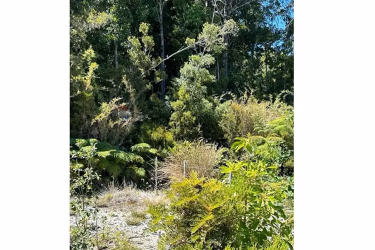 Terreno en condominio en  puerto varas 5.000 m²