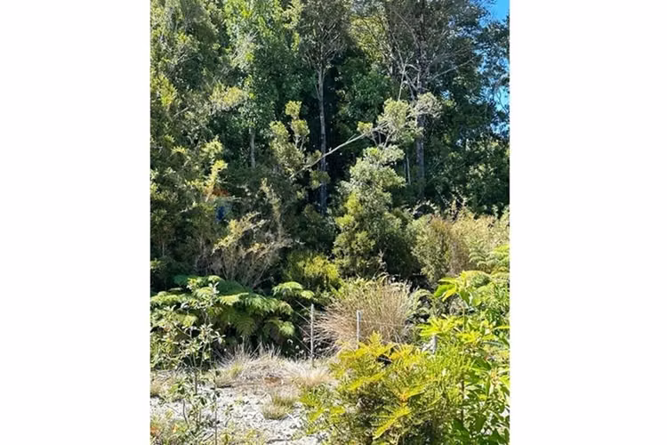 Terreno en condominio en  puerto varas 5.000 m²
