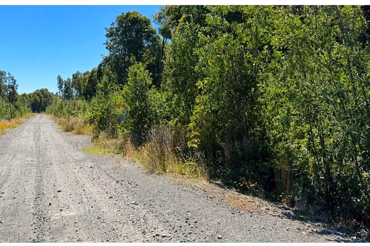 Terreno en condominio en  puerto varas 5.000 m²
