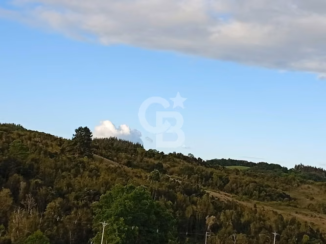 Hermoso Campo de 84 Hectáreas - Inversión.