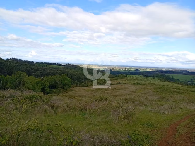 Hermoso Campo de 84 Hectáreas - Inversión.