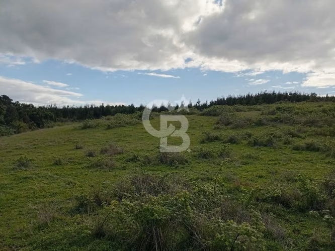 Hermoso Campo de 84 Hectáreas - Inversión.