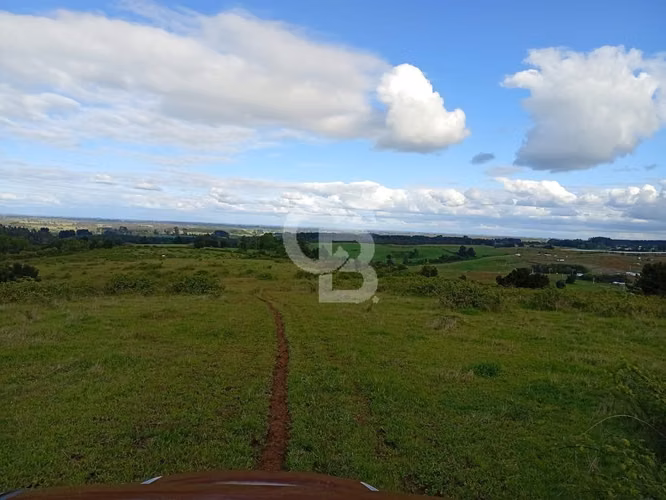 Hermoso Campo de 84 Hectáreas - Inversión.