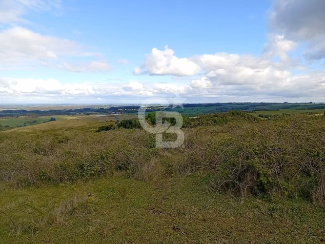 Hermoso Campo de 84 Hectáreas - Inversión.