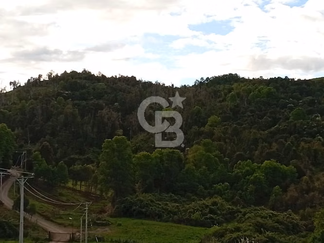 Hermoso Campo de 84 Hectáreas - Inversión.