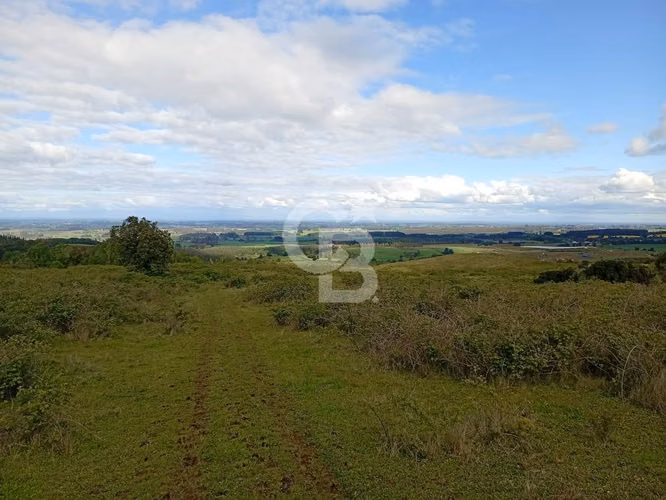 Hermoso Campo de 84 Hectáreas - Inversión.