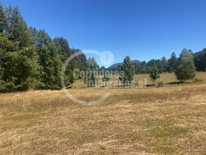 Parcela en venta en Pucón 16.000 m2 Orilla Rio - Imagen 12