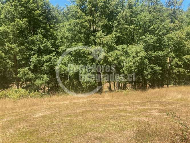 Parcela en venta en Pucón 16.000 m2 Orilla Rio - Imagen 13