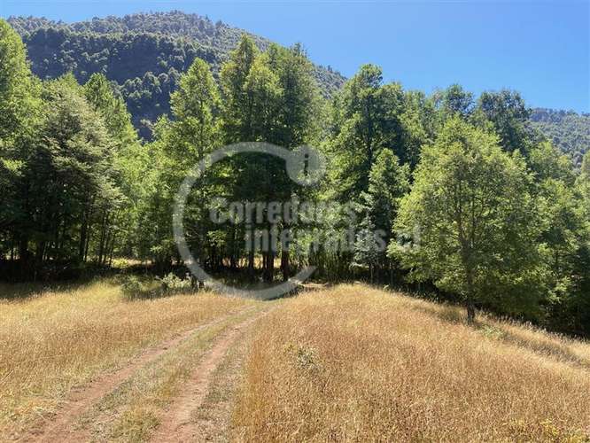Parcela en venta en Pucón 16.000 m2 Orilla Rio - Imagen 8