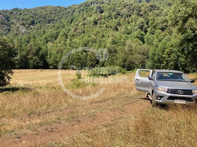 Parcela en venta en Pucón 16.000 m2 Orilla Rio - Imagen 10