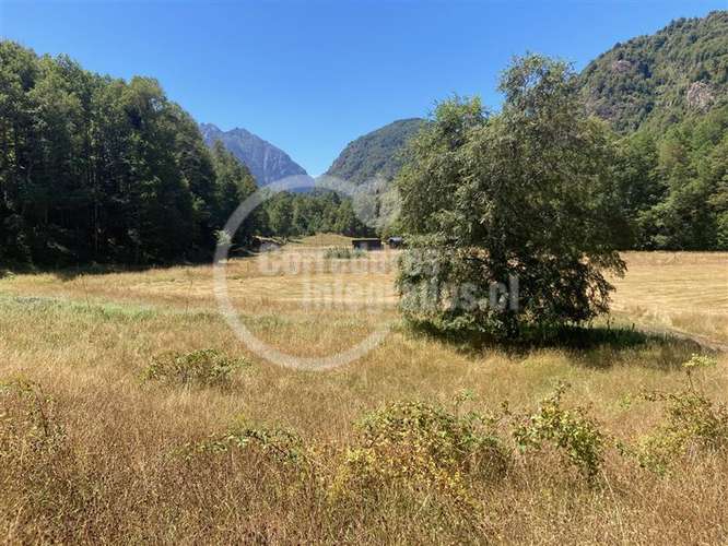 Parcela en venta en Pucón 16.000 m2 Orilla Rio - Imagen 7