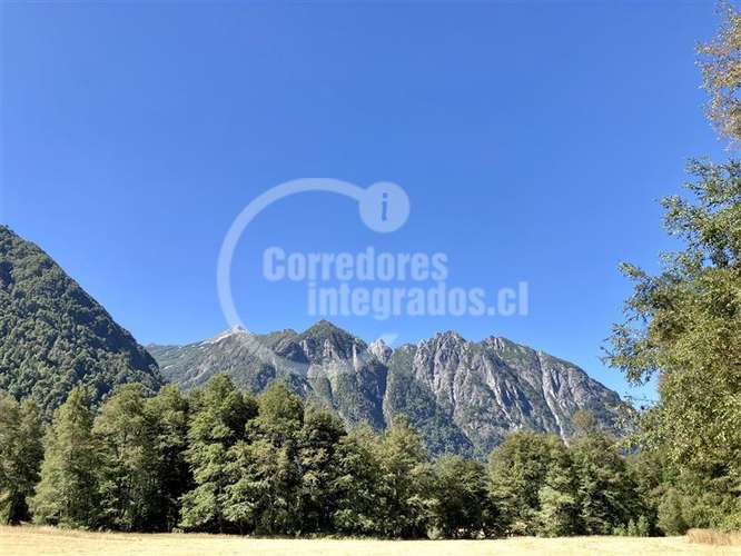 Parcela en venta en Pucón 16.000 m2 Orilla Rio - Imagen 2