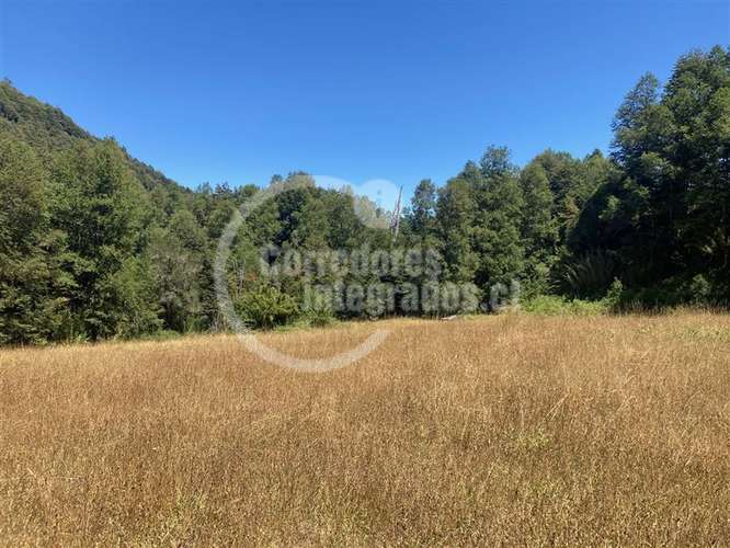Parcela en venta en Pucón 16.000 m2 Orilla Rio - Imagen 9