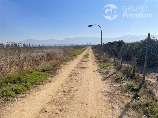 Predio Agroindustrial en venta Viña el Campesino Melipilla. - Imagen 14
