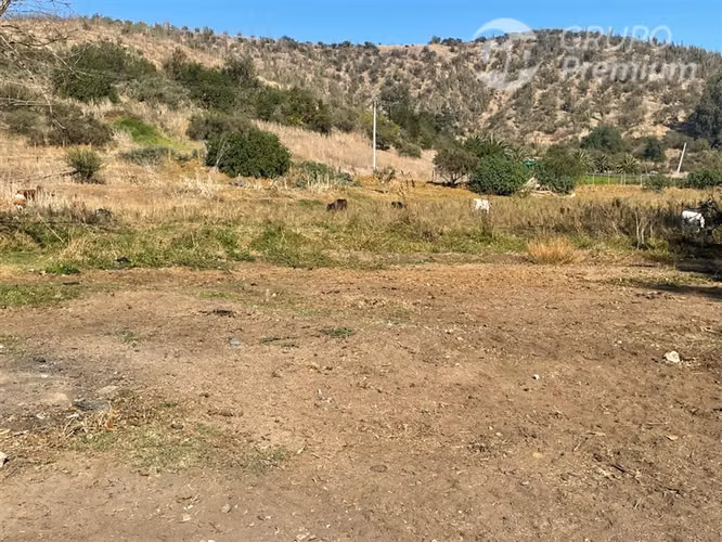 Predio Agroindustrial en venta Viña el Campesino Melipilla. - Imagen 11