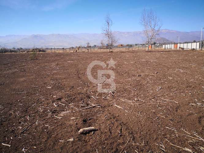 Parcela de 5000 en los Nogales, Chacabuco