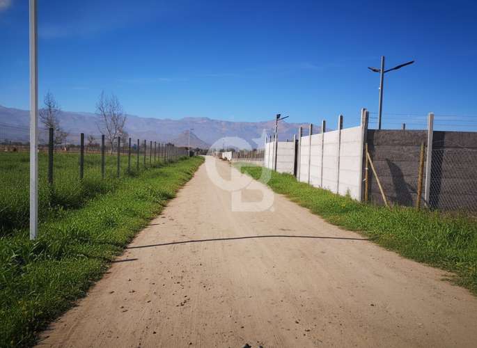 Parcela de 5000 en los Nogales, Chacabuco