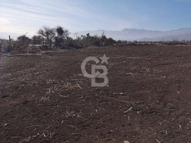 Parcela de 5000 en los Nogales, Chacabuco