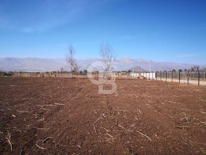 Parcela de 5000 en los Nogales, Chacabuco