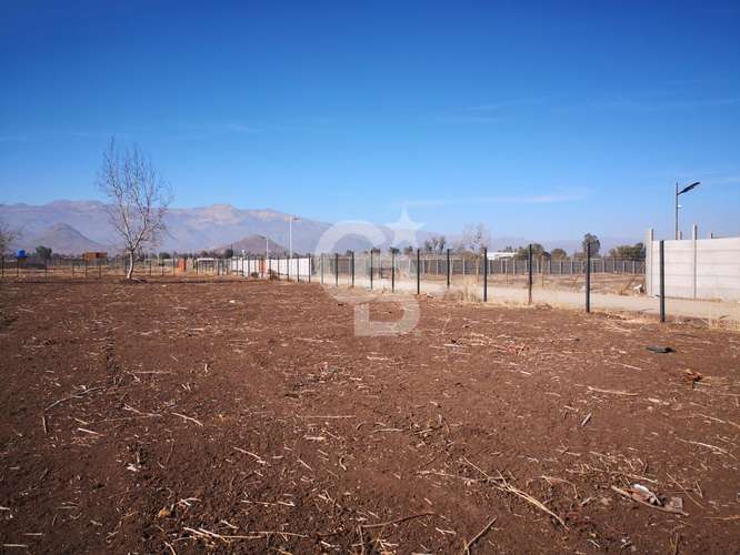 Parcela de 5000 en los Nogales, Chacabuco