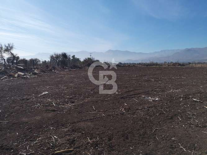 Parcela de 5000 en los Nogales, Chacabuco