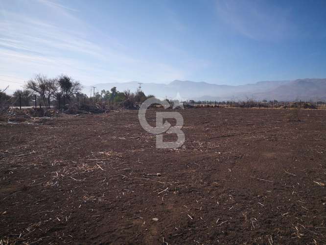 Parcela de 5000 en los Nogales, Chacabuco