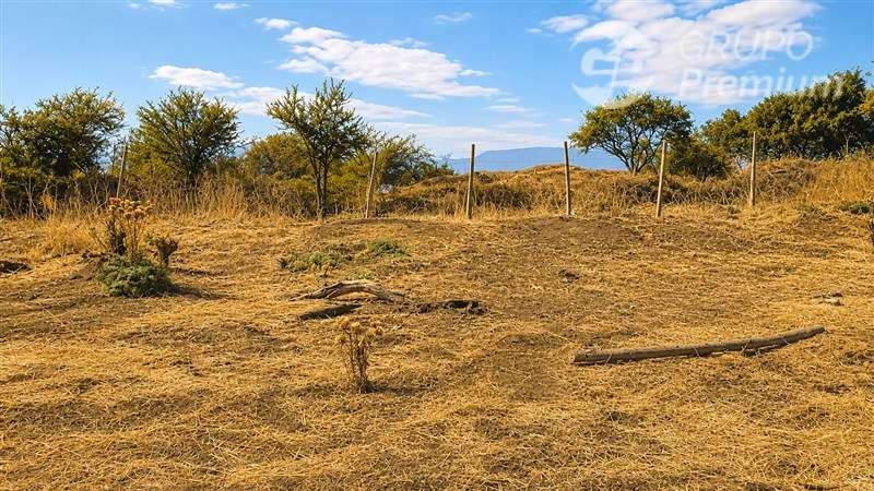 Parcela en venta 5000m2 plana Lampa - Imagen 5