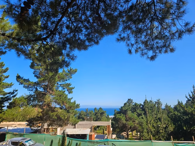 Punta Puertecillo, terreno con vista al mar de 5.600 m2. Plano y con vista al mar. - Imagen 10